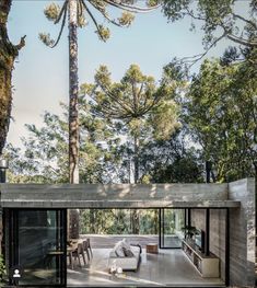 the house is surrounded by trees and has glass doors that open up to let in natural light