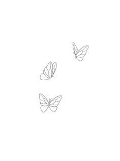 three butterflies flying side by side on a white background