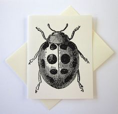 a black and white drawing of a ladybug on a piece of burlock