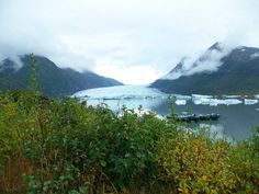 an iceberg floating in the water next to some bushes and trees on a cloudy day