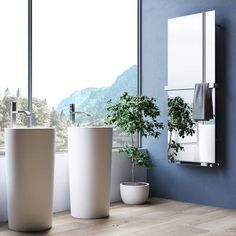 there are two sinks in this bathroom with blue walls and wood flooring, along with a potted plant