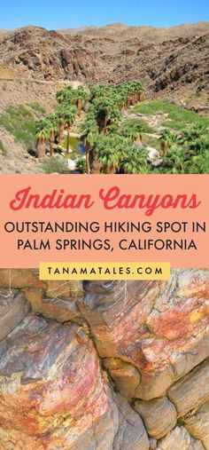 Indian Canyons in Palm Springs - Tanama Tales Coachella California, Visitors Center, Bighorn Sheep, Palm Springs Style, Palm Spring, Visit Usa, Hiking Spots, Palm Springs California, Mule Deer