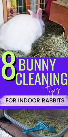 Tired of the mess that comes with indoor rabbit care? These rabbit cleaning tips will help you maintain a spotless and safe space for your bunny! Find out how to effectively clean a rabbit habitat and keep odors at bay | bunny cleaning tips | how to clean a rabbit cage