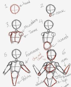 how to draw an animated human figure for beginners step by step drawing instructions and tips