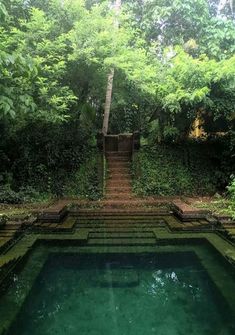 an outdoor swimming pool surrounded by greenery and steps leading up to the water's edge