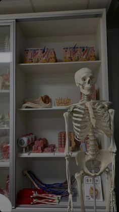 a skeleton is standing in front of a bookcase full of books and other items