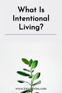 Want to live a more intentional life? Check out these 11 tips! Mindful Activities, Mindful Quotes, Conscious Discipline, How To Be A Happy Person