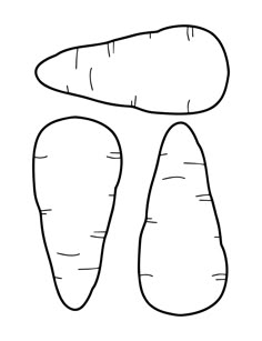 two carrots cut in half on a white background with the top one being drawn