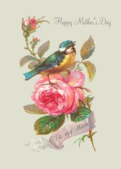 a mother's day card with two birds sitting on roses