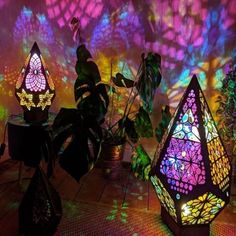 three colorful lights are lit up in the dark with plants and potted plants behind them