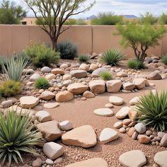 a garden with rocks and plants in it