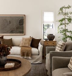 a living room filled with furniture and a potted plant on top of a table