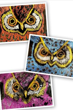 three pictures of an owl with different colors and patterns on it's face are shown