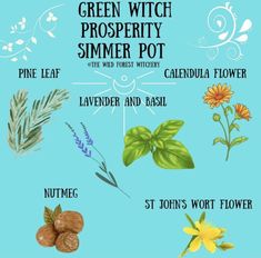 Simmer Kits, Grimoire Notebook, Elemental Witch, Virgo Emotions, Witch Types, Witch Recipes, Water Elemental, Simmer Pots