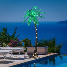 a palm tree is lit up in front of a swimming pool with lounge chairs around it