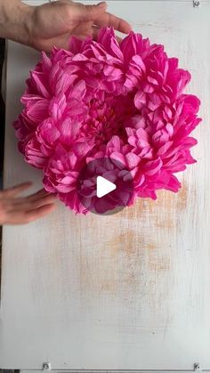 a person holding a large pink flower in their left hand, with the video below it