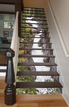 the stairs are painted with an image of trees and water on them in this house