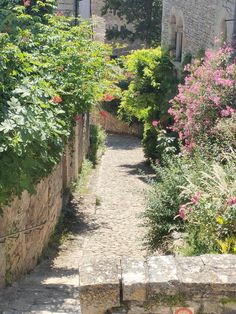 a stone path between two buildings with flowers growing on the sides and trees in the background