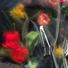 flowers are wrapped in plastic on the ground