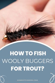 How To Fish Wooly Buggers For Trout Trout Flies Pattern, How To Catch Trout, Best Trout Flies, Fishing Knowledge, Fly Fishing Nymphs, Outdoor Hobbies, Fly Fishing For Beginners, Trout Fishing Lures