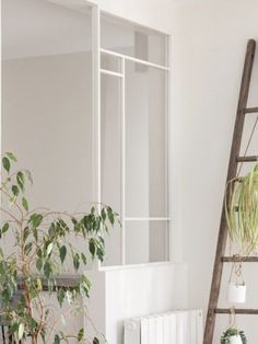 a ladder that is next to a potted plant in a room with white walls