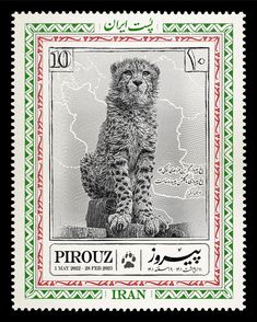 a postage stamp with an image of a cheetah sitting on top of a rock