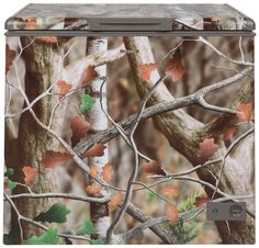 an image of a tree trunk with leaves on it and the branches are covered in fall colors