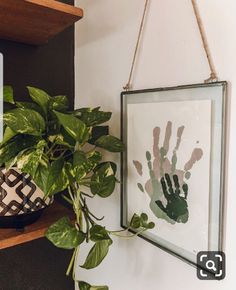 a potted plant sitting on top of a wooden shelf next to a framed handprint