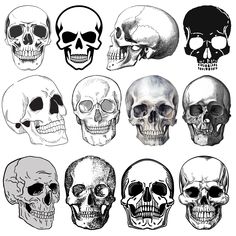 a bunch of skulls with different facial expressions