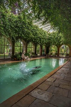 an indoor swimming pool surrounded by trees and greenery with two dolphins in the water