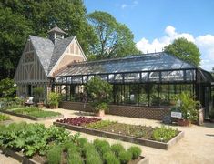 an outdoor garden with lots of plants and flowers in the foreground, surrounded by trees