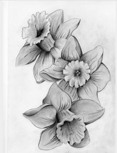 Tatouage Haida, Wildflowers Tattoo, December Birth Flower, March Birth Flowers, Pencil Drawings Of Flowers