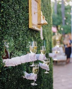 a person holding wine glasses in front of a wall covered with green plants and greenery