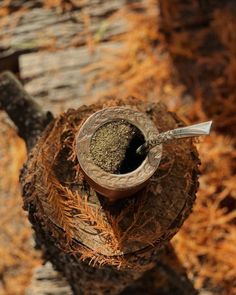 there is a small cup with something in it on top of a piece of wood