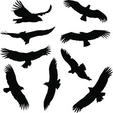 black silhouettes of birds flying in the sky