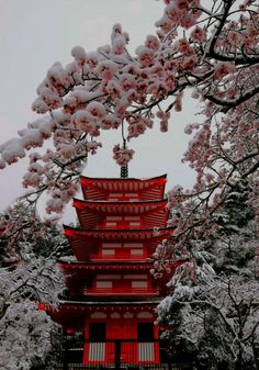 a tall red building surrounded by trees covered in snow