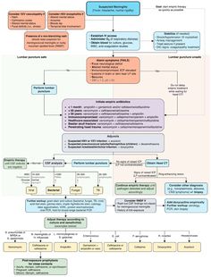 a flow diagram with several different types of information