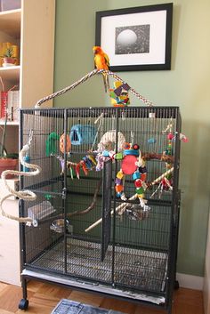 a bird cage filled with birds and toys