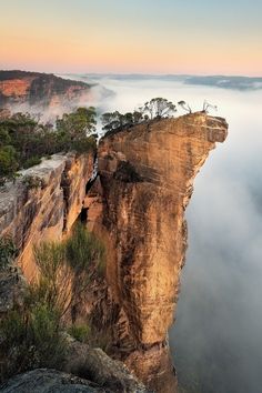 the cliff is surrounded by fog and low hanging trees on it's sides, as seen from above