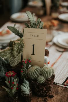 the table numbers are placed on top of small cacti