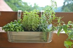 a metal planter filled with lots of green plants on top of a wooden bench