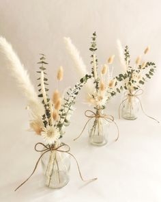 three clear vases with dried flowers and greenery tied to each other on a white background