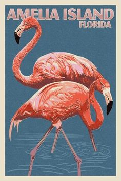 two pink flamingos standing next to each other