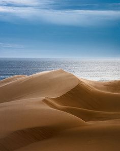 sand dunes with the ocean in the background