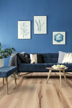 a living room with blue walls and wood flooring is pictured in this image, there are two pictures on the wall above the couch