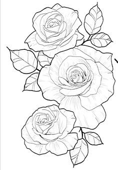 three roses with leaves on the stems coloring page