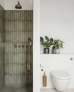 a white toilet sitting next to a walk in shower under a bathroom mirror with plants on top of it