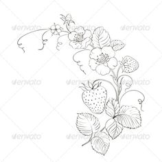 strawberrys and flowers on a white background - stock photo - images