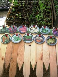 several plates with different types of vegetables on them sitting on a wooden table in front of some plants