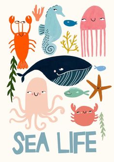 an image of sea life with octopus, crab, whale and jellyfish on white background